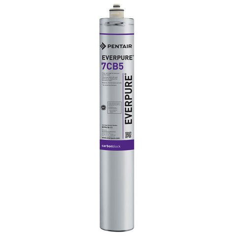 Water filter