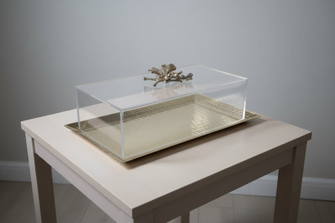 Butterfly serving plate with a plexi lids