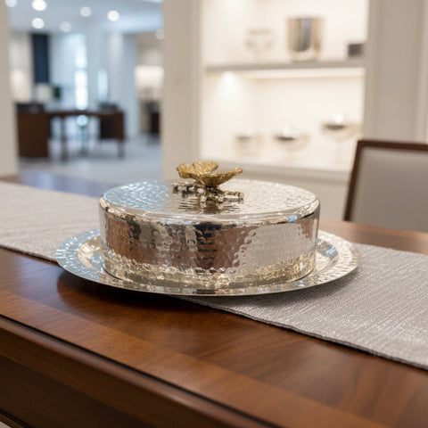 Rounded Butterfly plexi