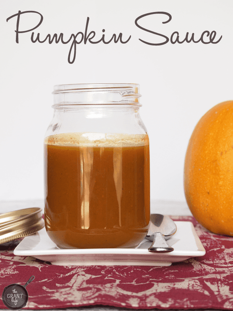 Real Pumpkin Puree Infused Syrup 16.9 fl. oz. (Case of 6)